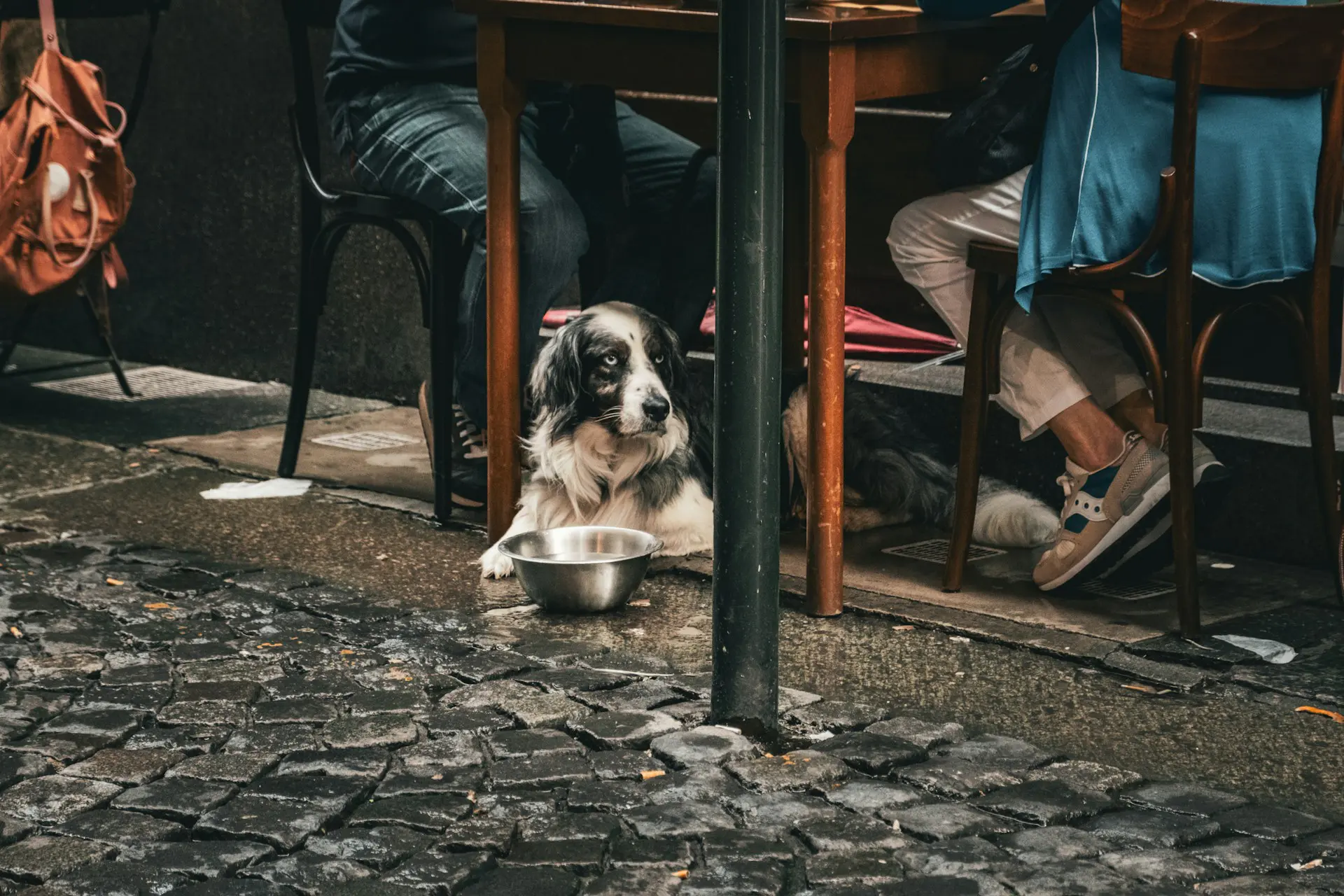 A dog is laying under a table on a restaurant's patio with a bowl of water.